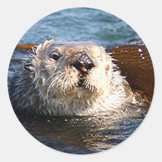 Otter sticker
