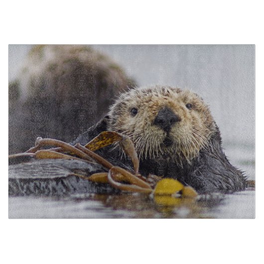 Otter Surprise-snijboard Snijplank (Voorkant)