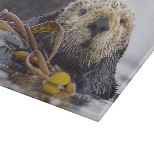 Otter Surprise-snijboard Snijplank (Hoek)
