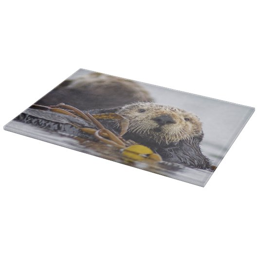 Otter Surprise-snijboard Snijplank (Hoek)