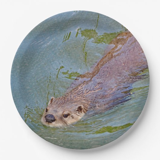Otter Swimming Wildlife Foto Papieren Bordje (Voorkant)