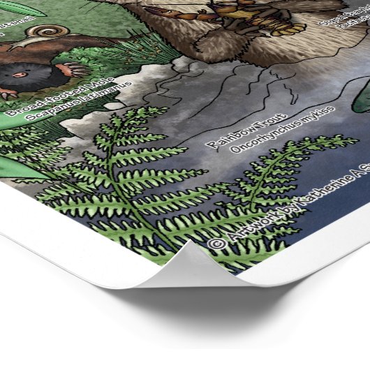 "Otter Twin Magic"-poster — met grens Poster (Hoek)