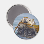 Otter verpakt in Kelp.Magnet Magneet (Voorkant / Achterkant)