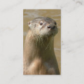 Otter Visitekaartje (Achterkant)