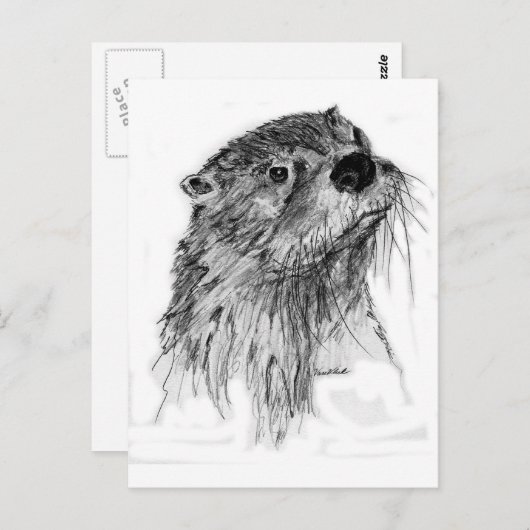 Otter Whiskers Briefkaart (Voorkant / Achterkant)