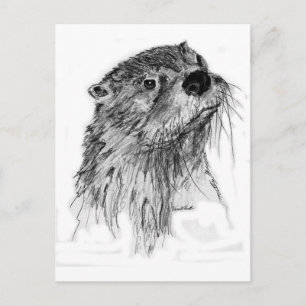 Otter Whiskers Briefkaart