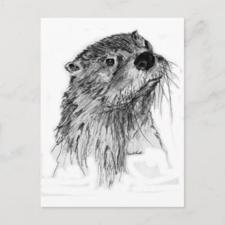 Otter Whiskers Briefkaart
