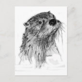 Otter Whiskers Briefkaart (Voorkant)