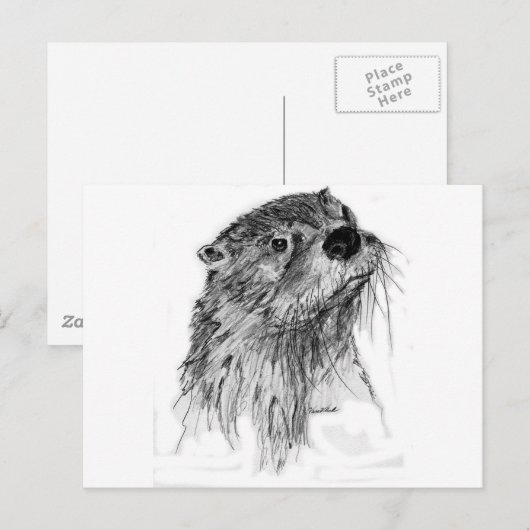 Otter Whiskers Briefkaart (Voorkant / Achterkant)