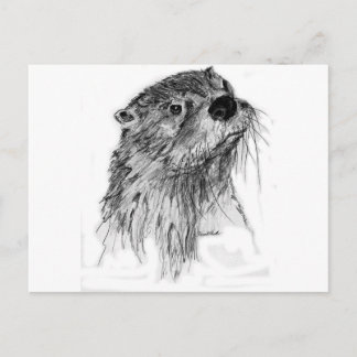 Otter Whiskers Briefkaart