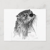 Otter Whiskers Briefkaart (Voorkant)