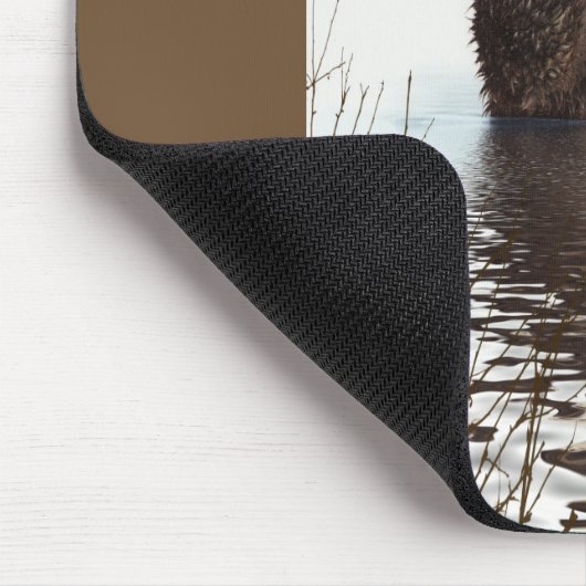 Otter Wildlife Image Muismat (Hoek)