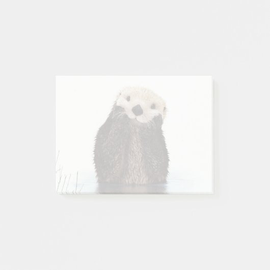 Otter Wildlife Image Post-it® Notes (Voorkant)