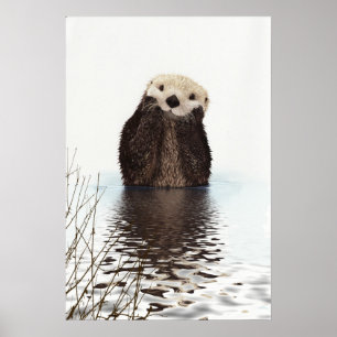 Otter Wildlife Image Poster