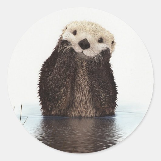 Otter Wildlife Image Ronde Sticker (Voorkant)