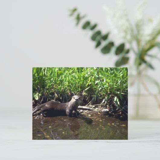 Otter-zomer Briefkaart (Staand voorkant)