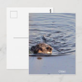 Otter Zwemfoto Briefkaart (Voorkant / Achterkant)