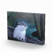 Otterfoto blok (Rechts)