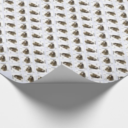 Otterhound Geschiedenis Ontwerp Cadeaupapier (Hoek)