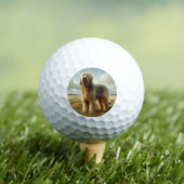 Otterhound Golfballen (Insitu Shirt)