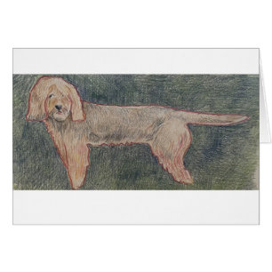 Otterhound kan ! niet cadeauverpakking geven