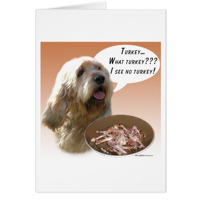 Otterhound Turkije (Voorkant)