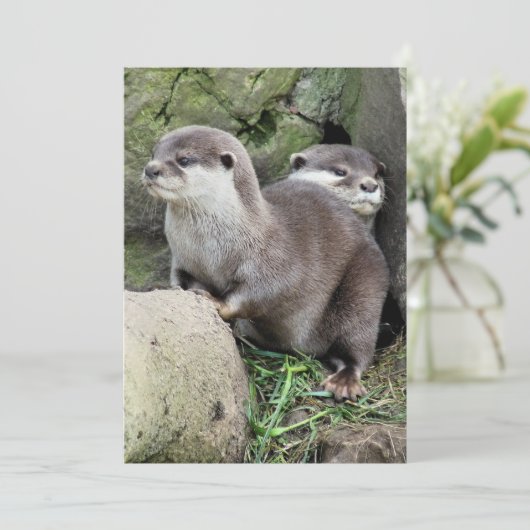 OTTERINVITATIE (Staand voorkant)