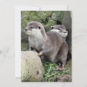 OTTERINVITATIE