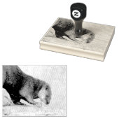Otterkegelvormig Rubberstempel (Gestempeld)
