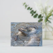 Otterliefde Ansichtkaart Briefkaart (Staand voorkant)