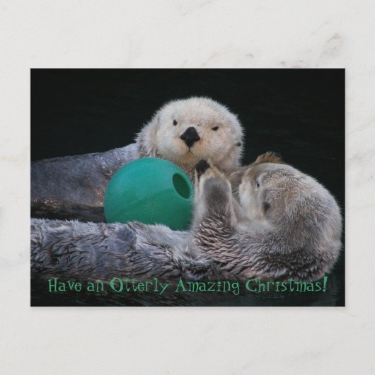 Otterlijk geweldige zeeotters feestdagenkaart (Voorkant)