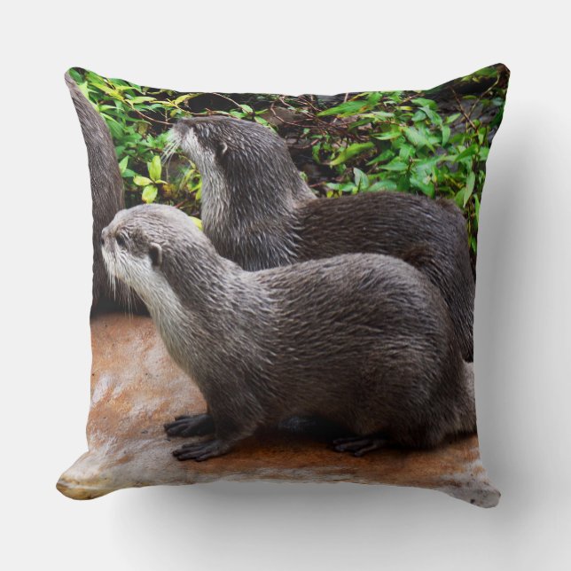 Otterlijk, otters, grote leeuwenkussen. kussen (Voorkant)