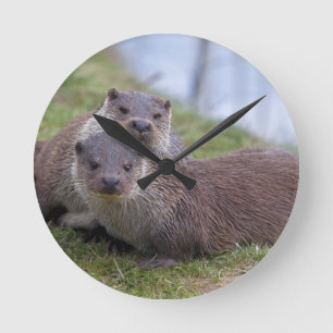Otterly in de Klok van de Liefde