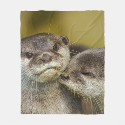 Otterly in Love Triptych Fleece Deken (Voorkant)