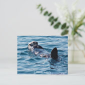 Otterly Lovely Alaska Otter briefkaart (Staand voorkant)