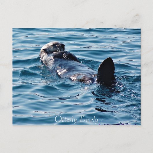 Otterly Lovely Alaska Otter briefkaart (Voorkant)