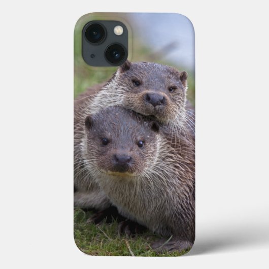 Otterly verliefd iPad hoes (Achterkant)