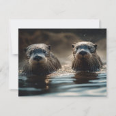 Otters (Voorkant)