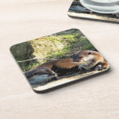 OTTERS BIER ONDERZETTER (Linkerzijde)