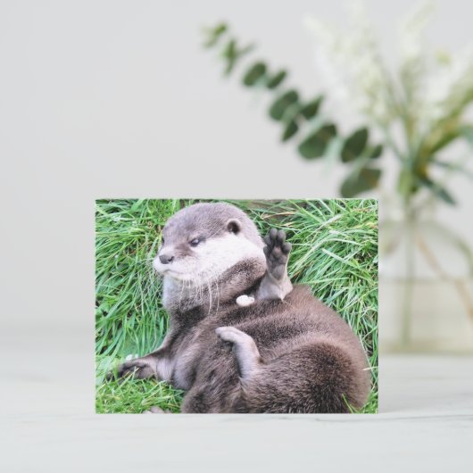 OTTERS BRIEFKAART (Staand voorkant)