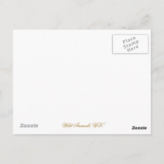 OTTERS BRIEFKAART (Achterkant)