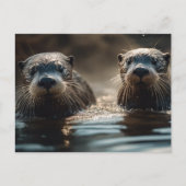 Otters Briefkaart (Voorkant)