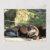 OTTERS BRIEFKAART (Voorkant)