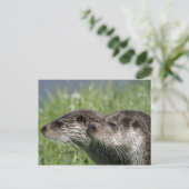 Otters Briefkaart (Staand voorkant)