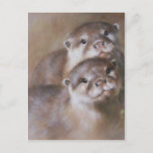 otters briefkaart (Voorkant)
