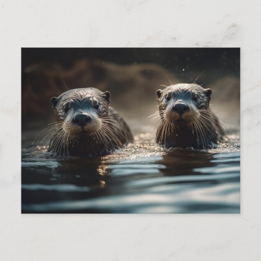 Otters Briefkaart (Voorkant)