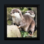 OTTERS CADEAUDOOSJE<br><div class="desc">Een waterverf ontwerp van een paar zeer schattige kleine otters.</div>