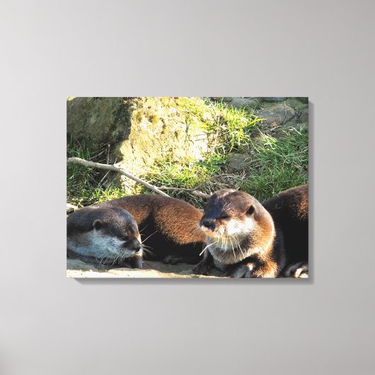 OTTERS CANVAS AFDRUK (Voorkant)