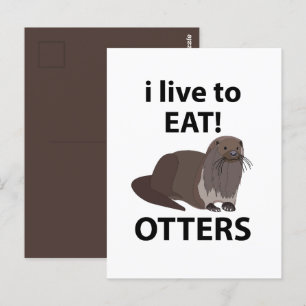 Otters die ik leuk vind om grappige otters te eten briefkaart