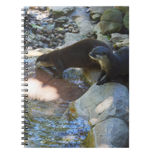 otters Drink, Notitieboek (Voorkant)